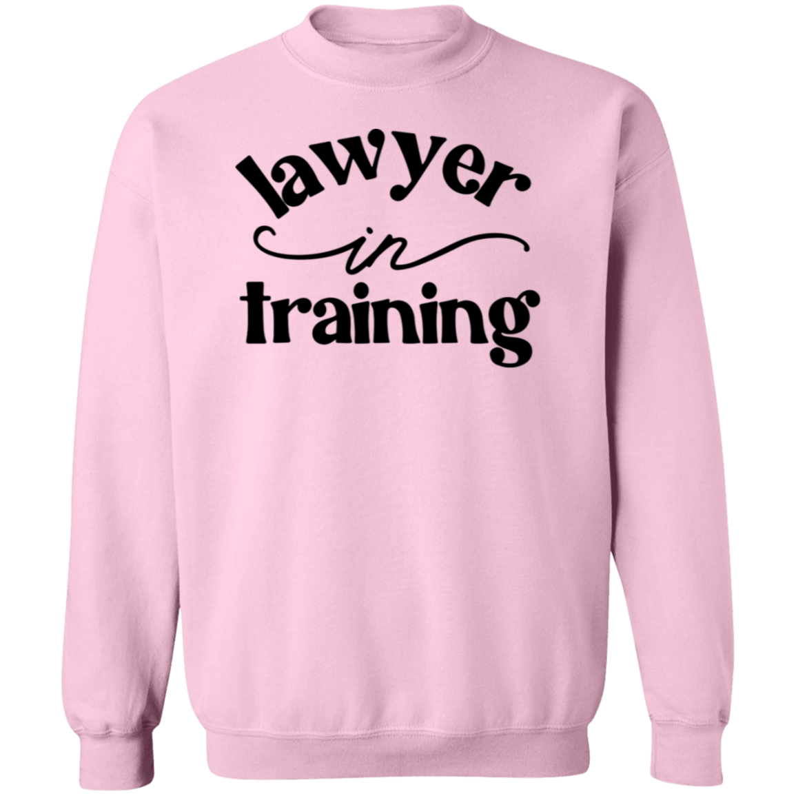 Lawyer in Training