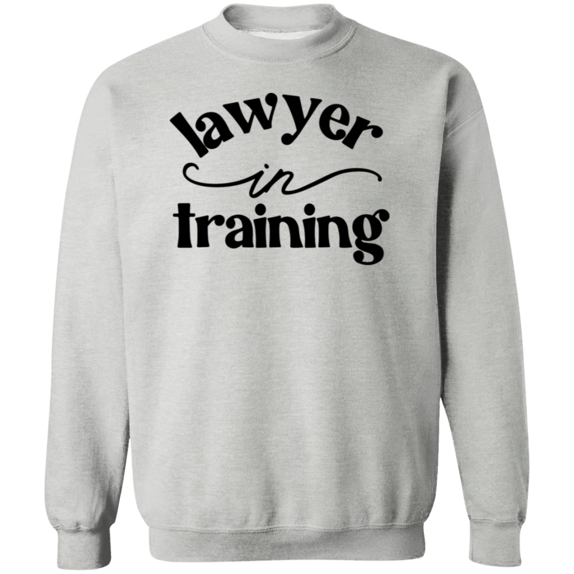 Lawyer in Training