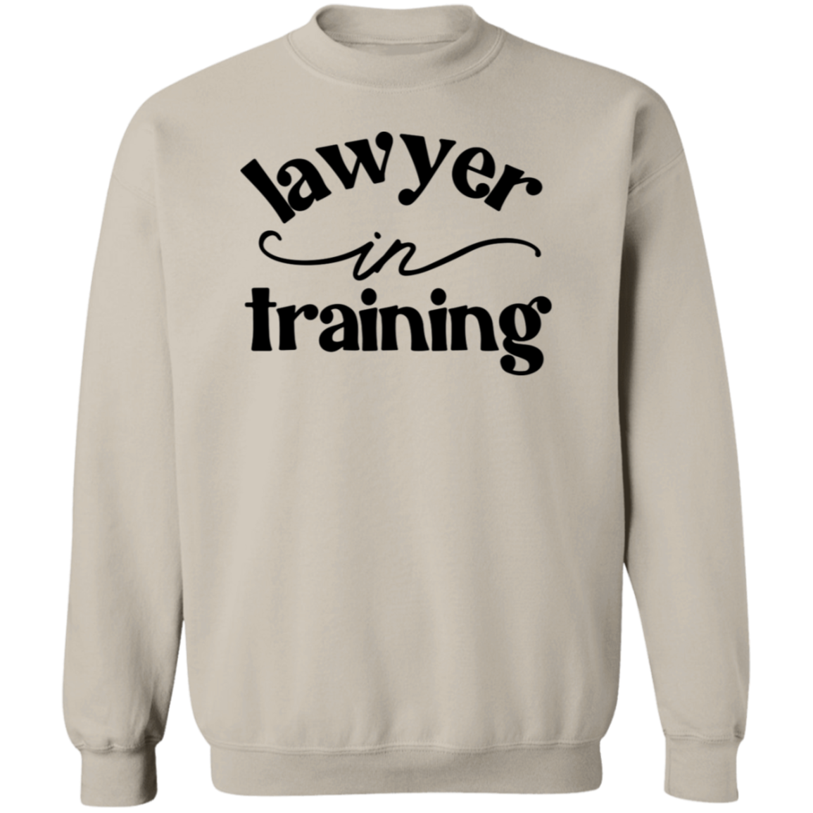 Lawyer in Training