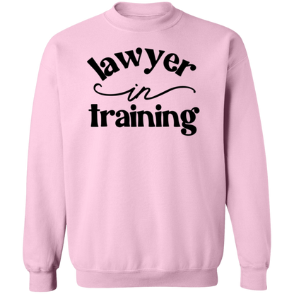 Lawyer in Training