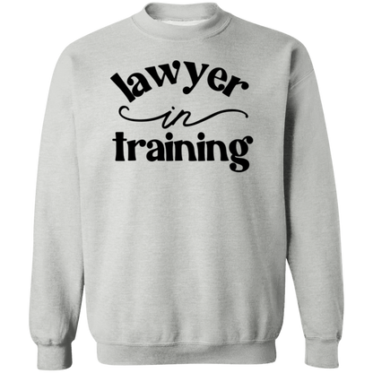 Lawyer in Training