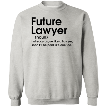 Future Lawyer