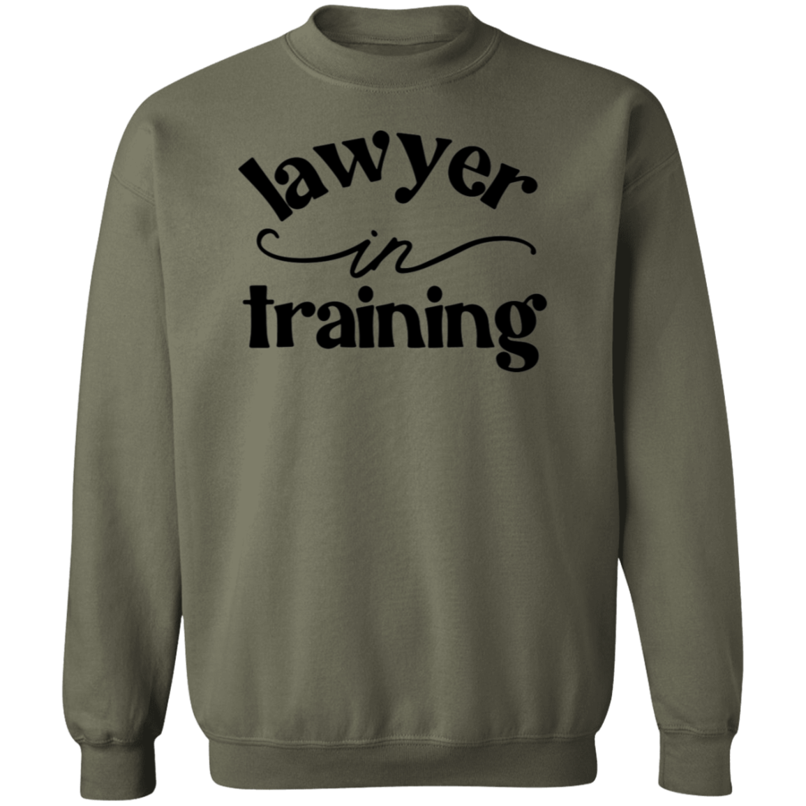 Lawyer in Training