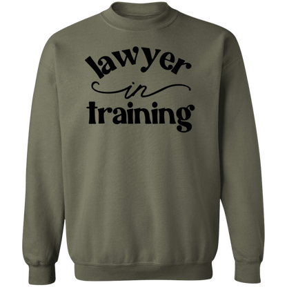 Lawyer in Training