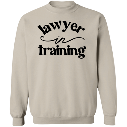Lawyer in Training
