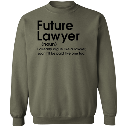 Future Lawyer
