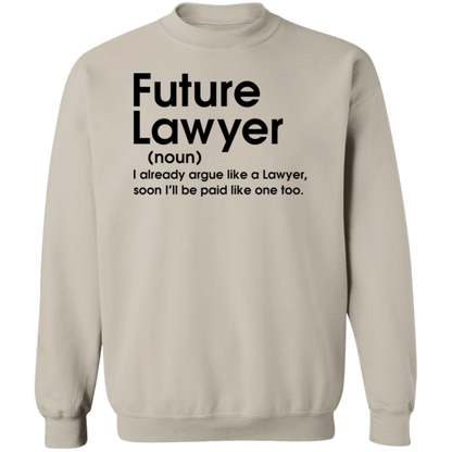 Future Lawyer